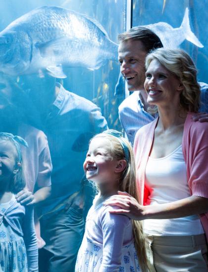 Famiglia felice osserva pesci in un acquario, sorrisi e meraviglia.