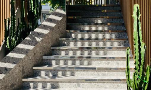 Scala moderna con cactus e luce solare.