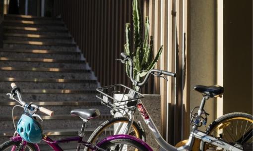 Biciclette colorate al sole, cactus e scale creano un'atmosfera urbana e vivace.